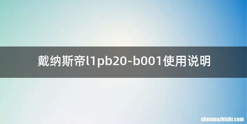 戴纳斯帝l1pb20-b001使用说明