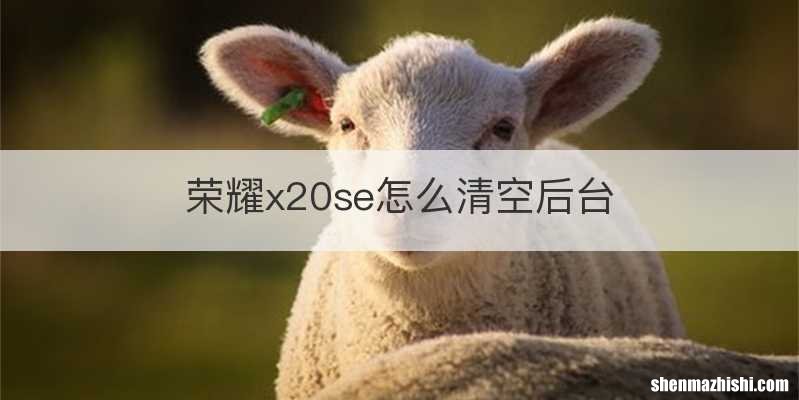 荣耀x20se怎么清空后台