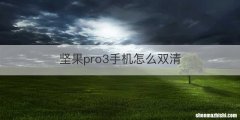坚果pro3手机怎么双清