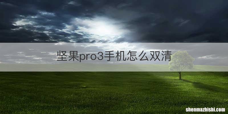 坚果pro3手机怎么双清