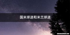 国米球迷和米兰球迷