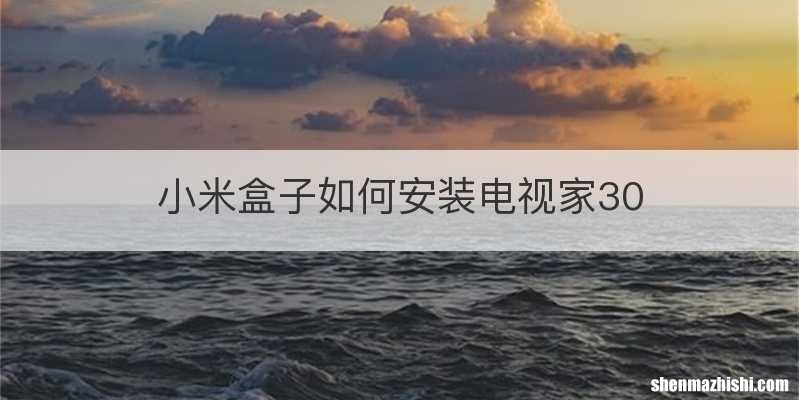 小米盒子如何安装电视家30