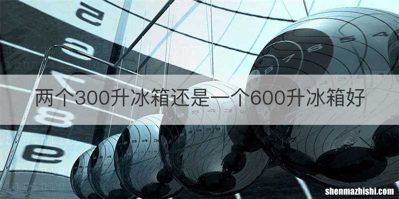 两个300升冰箱还是一个600升冰箱好