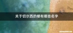 关于切尔西的梗有哪些名字
