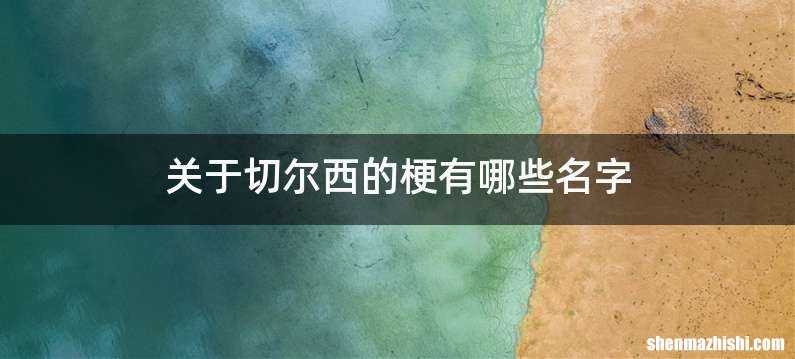 关于切尔西的梗有哪些名字