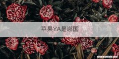 苹果YA是哪国