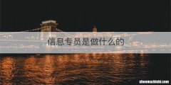 信息专员是做什么的