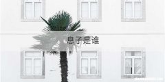 息子是谁