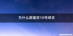 为什么都喜欢10号球衣