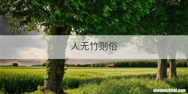 人无竹则俗