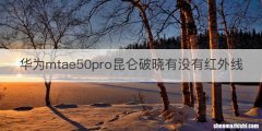 华为mtae50pro昆仑破晓有没有红外线