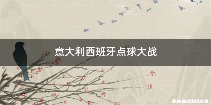 意大利西班牙点球大战