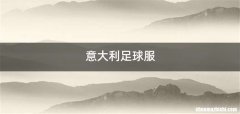 意大利足球服