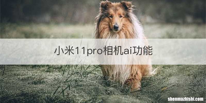 小米11pro相机ai功能