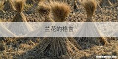 兰花的格言