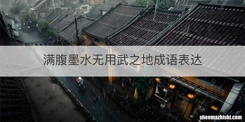 满腹墨水无用武之地成语表达