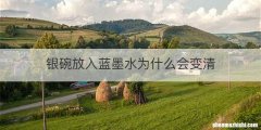 银碗放入蓝墨水为什么会变清