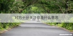 对方十分关注你是什么意思