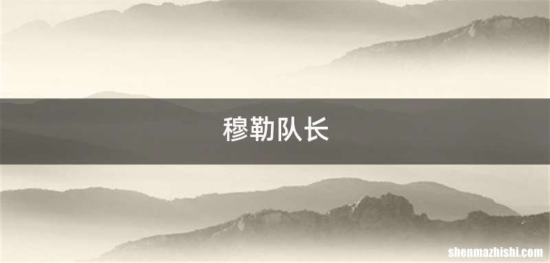 穆勒队长