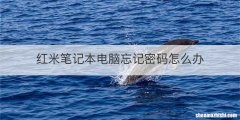 红米笔记本电脑忘记密码怎么办