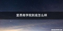 里昂商学院到底怎么样
