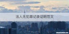 法人无犯罪记录证明范文
