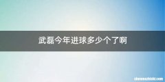 武磊今年进球多少个了啊