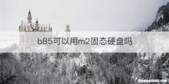b85可以用m2固态硬盘吗
