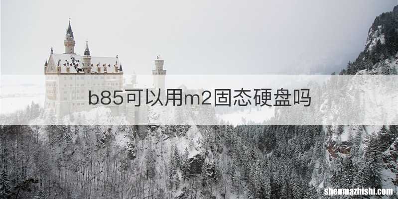 b85可以用m2固态硬盘吗