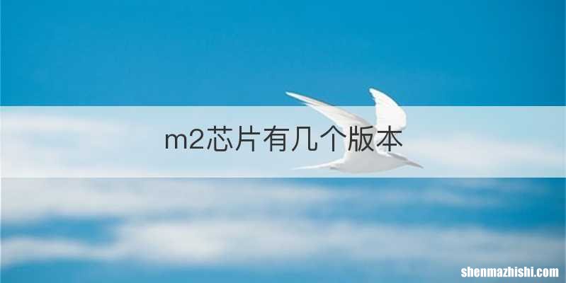 m2芯片有几个版本