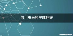 四川玉米种子哪种好