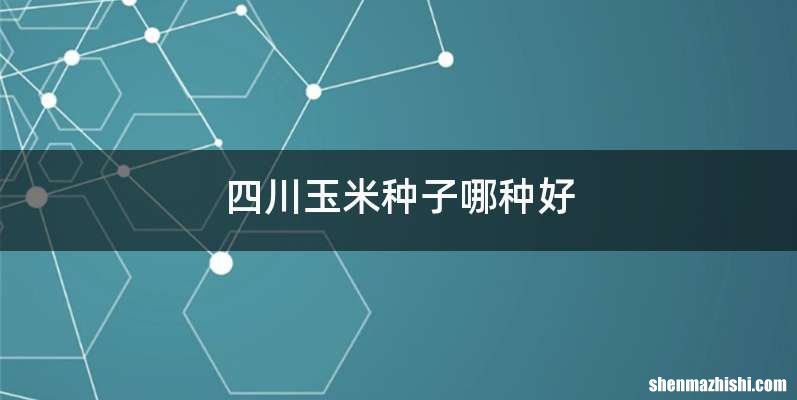 四川玉米种子哪种好