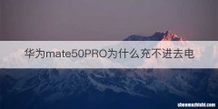 华为mate50PRO为什么充不进去电