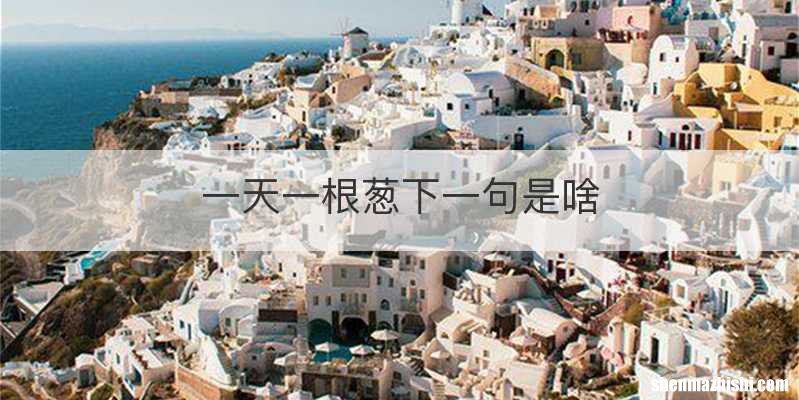 一天一根葱下一句是啥