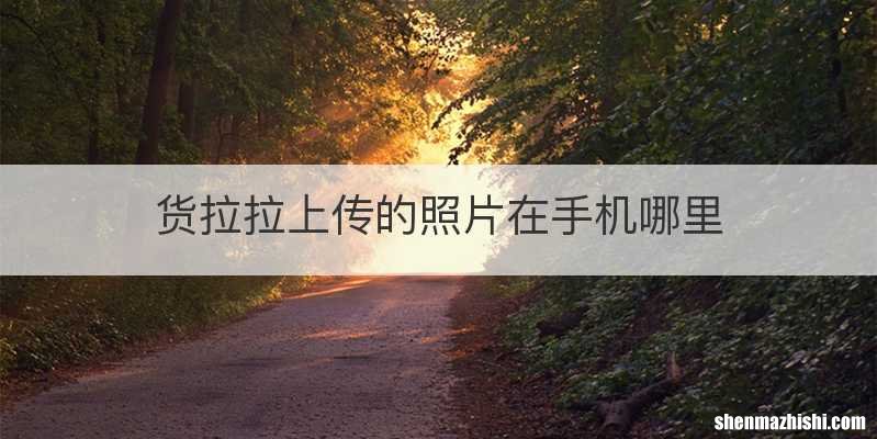 货拉拉上传的照片在手机哪里