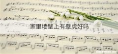 家里墙壁上有壁虎好吗