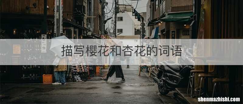 描写樱花和杏花的词语