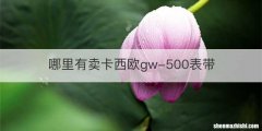 哪里有卖卡西欧gw-500表带