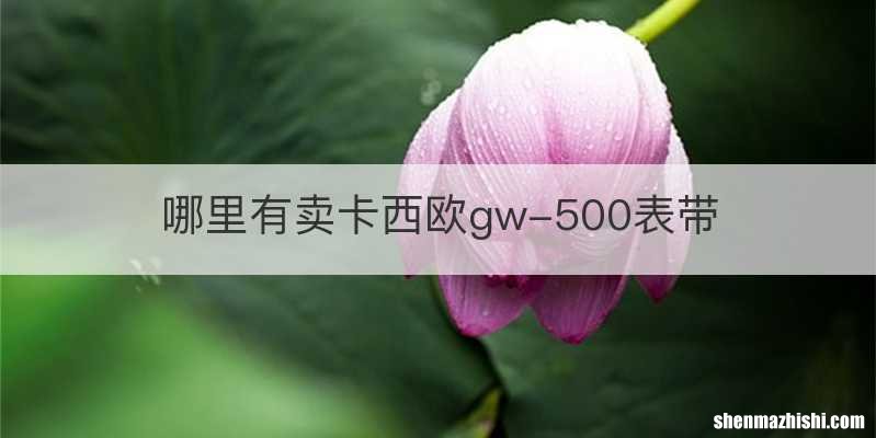 哪里有卖卡西欧gw-500表带