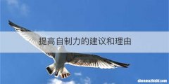 提高自制力的建议和理由