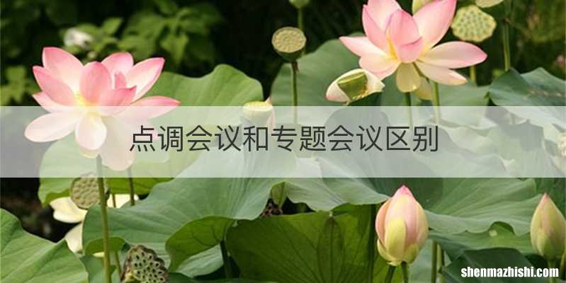 点调会议和专题会议区别