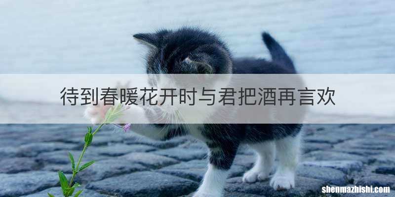 待到春暖花开时与君把酒再言欢