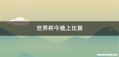 世界杯今晚上比赛
