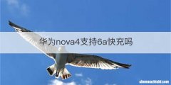 华为nova4支持6a快充吗