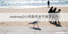 realmeq3小布助手关不掉怎么办