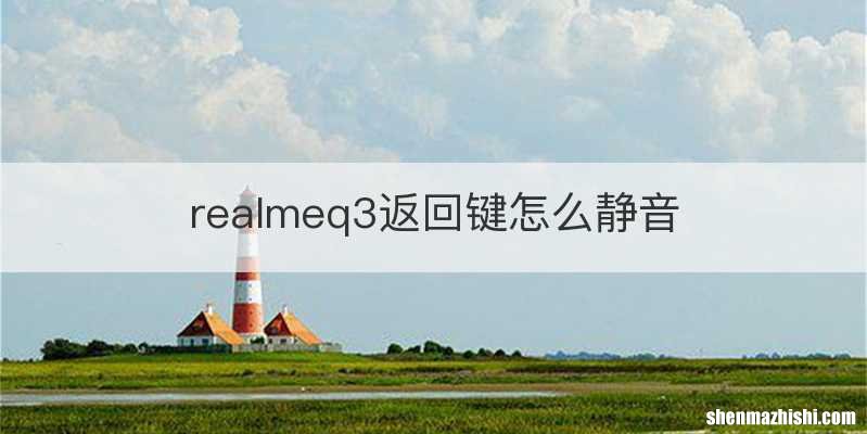 realmeq3返回键怎么静音