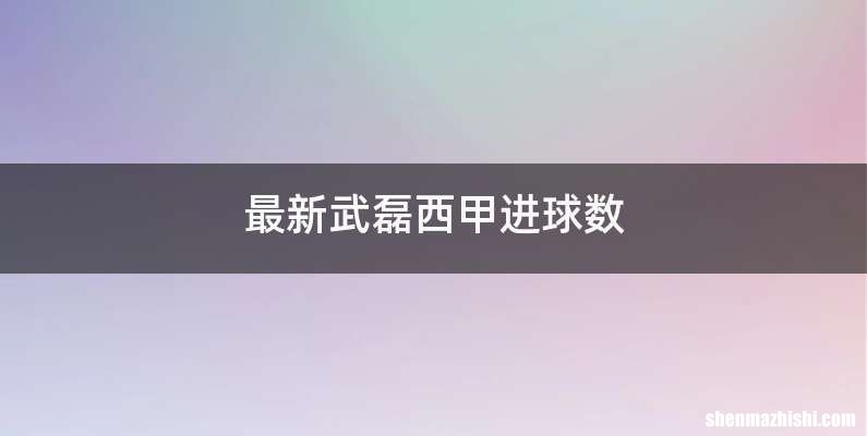 最新武磊西甲进球数