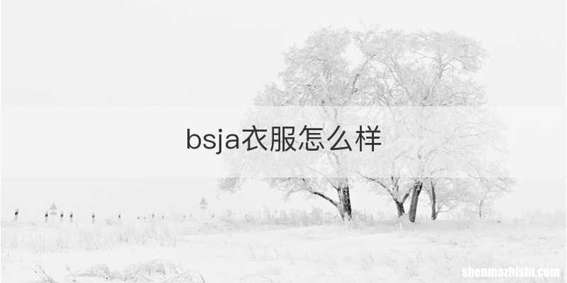 bsja衣服怎么样