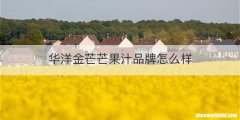 华洋金芒芒果汁品牌怎么样