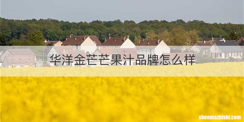 华洋金芒芒果汁品牌怎么样